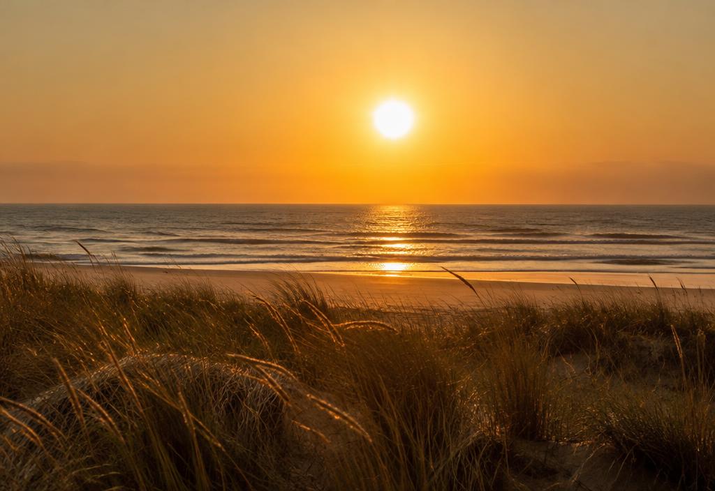 Plage paisible et herbes sauvages au soleil couchant